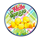 Hello Spring Sign, Spring Duckies Sign, Everyday Sign, Round Metal Wreath Signs, Craft Embellishments