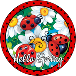 Hello Spring Sign, Ladybugs Sign, Daisies Sign, Spring Farmhouse Sign, Flowers Sign, Everyday Sign, Round Metal Wreath Signs