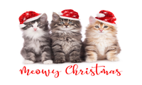 Christmas Cats Sign, Cat Sign, Merry Christmas Signs, Metal Wreath Sign, Santa Hat Signs