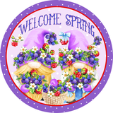 Welcome Spring Sign, Gnomes and Blueberries Sign, Spring/Summer Sign, Everyday Sign, Round Metal Wreath Signs